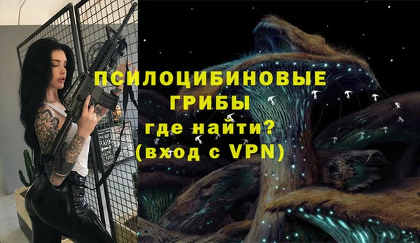 гашик Алексеевка