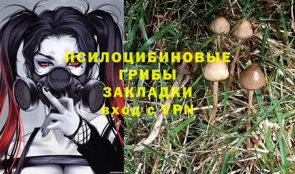 гидра Алзамай
