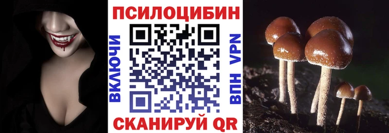 Галлюциногенные грибы прущие грибы  Кулебаки 